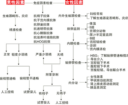 不孕不育检查流程